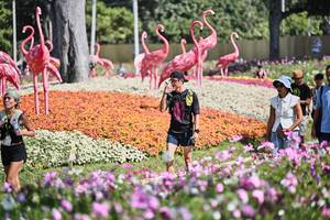 BIB: 
                            <button type="button" onclick="openModal(27793978)" class="btn btn-primary btn-sm float-right btn-popup" data-toggle="modal" data-target=".modal-high-quality">
                        <i class="fas fa-shopping-cart"></i> Add to Cart
                    </button>
                                            <button type="button" onclick="isThisMe(27793978, true)" class="btn btn-success btn-sm float-right btn-popup btn-isme hidden" data-toggle="tooltip" data-placement="bottom" title="นี่คือรูปของคุณใช่ไหม คลิกที่นี่เพื่อเอาเข้าอัลบั้ม">
                        <i class="fas fa-plus"></i> Add to album
                    </button>
                    <button type="button" onclick="isThisMe(27793978, false)" class="btn btn-warning btn-sm float-right btn-popup btn-isnotme hidden">
                        <i class="fas fa-ban"></i> Remove from album
                    </button>